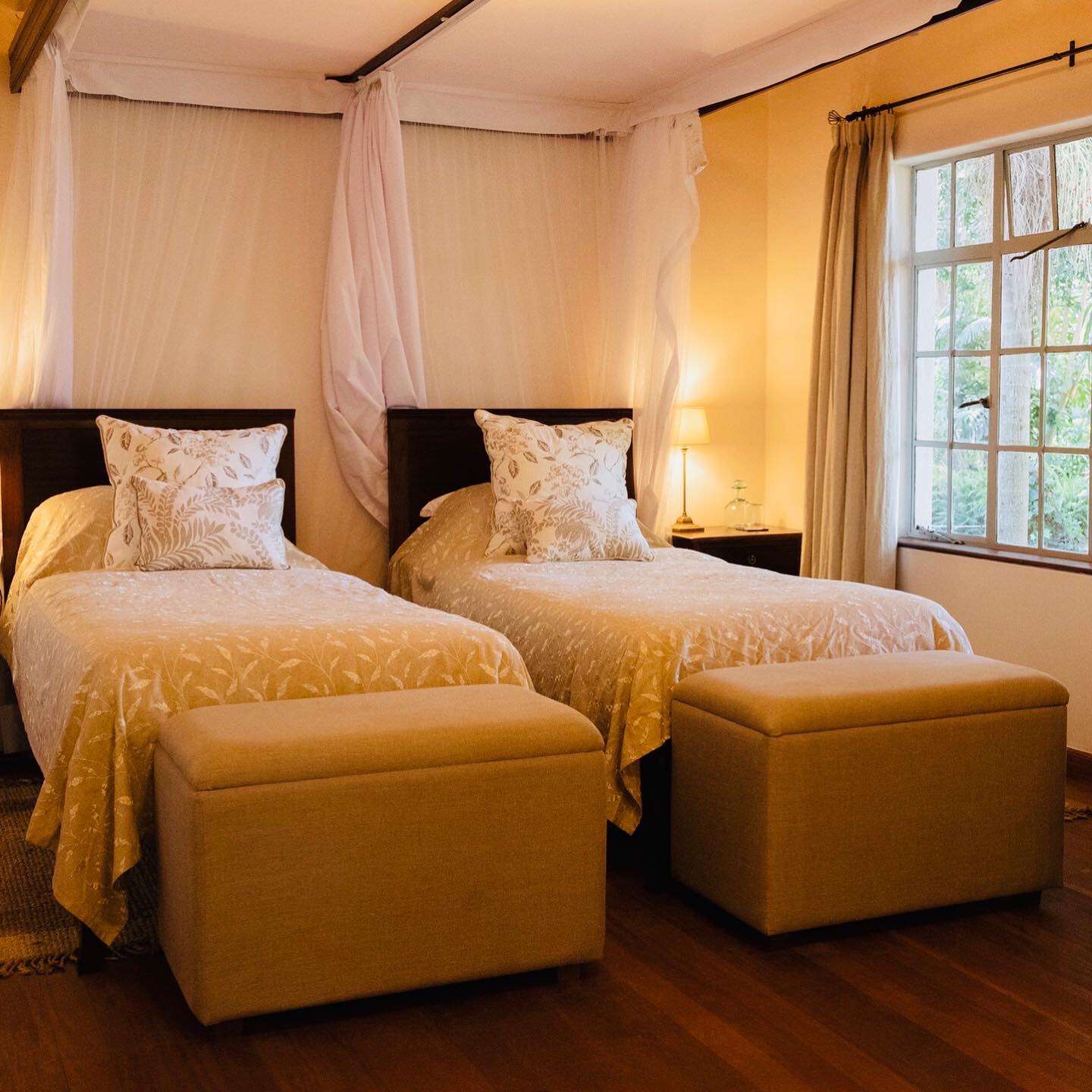 deluxe suite - twin bed