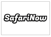 Safarinow-logo Safarinow-logo